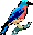 bluebird icon