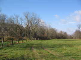 fenced meadow