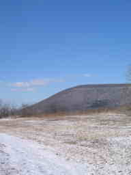 wind swept snowy field