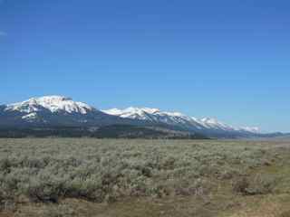 Rocky mountains sagebrush field