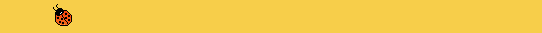 navigation bar