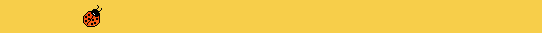 navigation bar