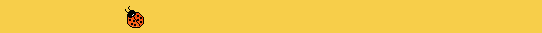 navigation bar