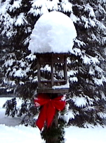 snow covered bird feeder