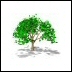 tree icon