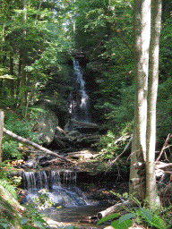 woodland waterfall