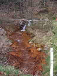 orange water and stream bank